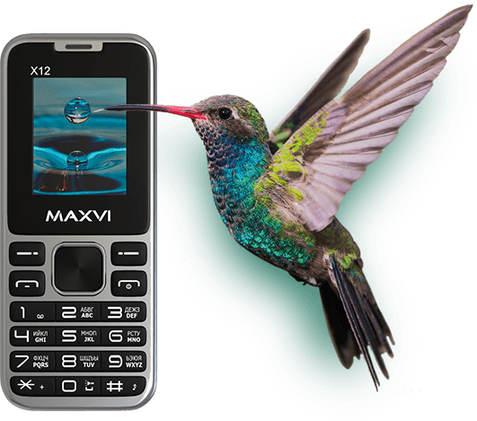 maxvi x12 design
